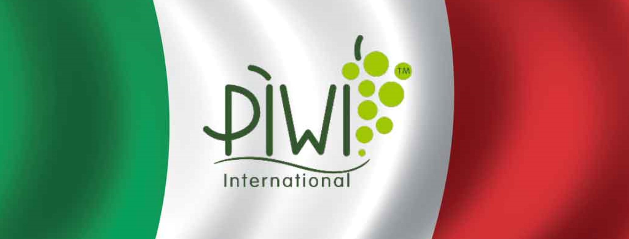 Vini piwi